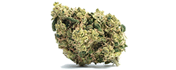 img Pineapple Crack strain