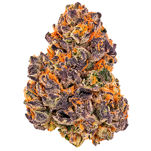 Honey Guava Runtz